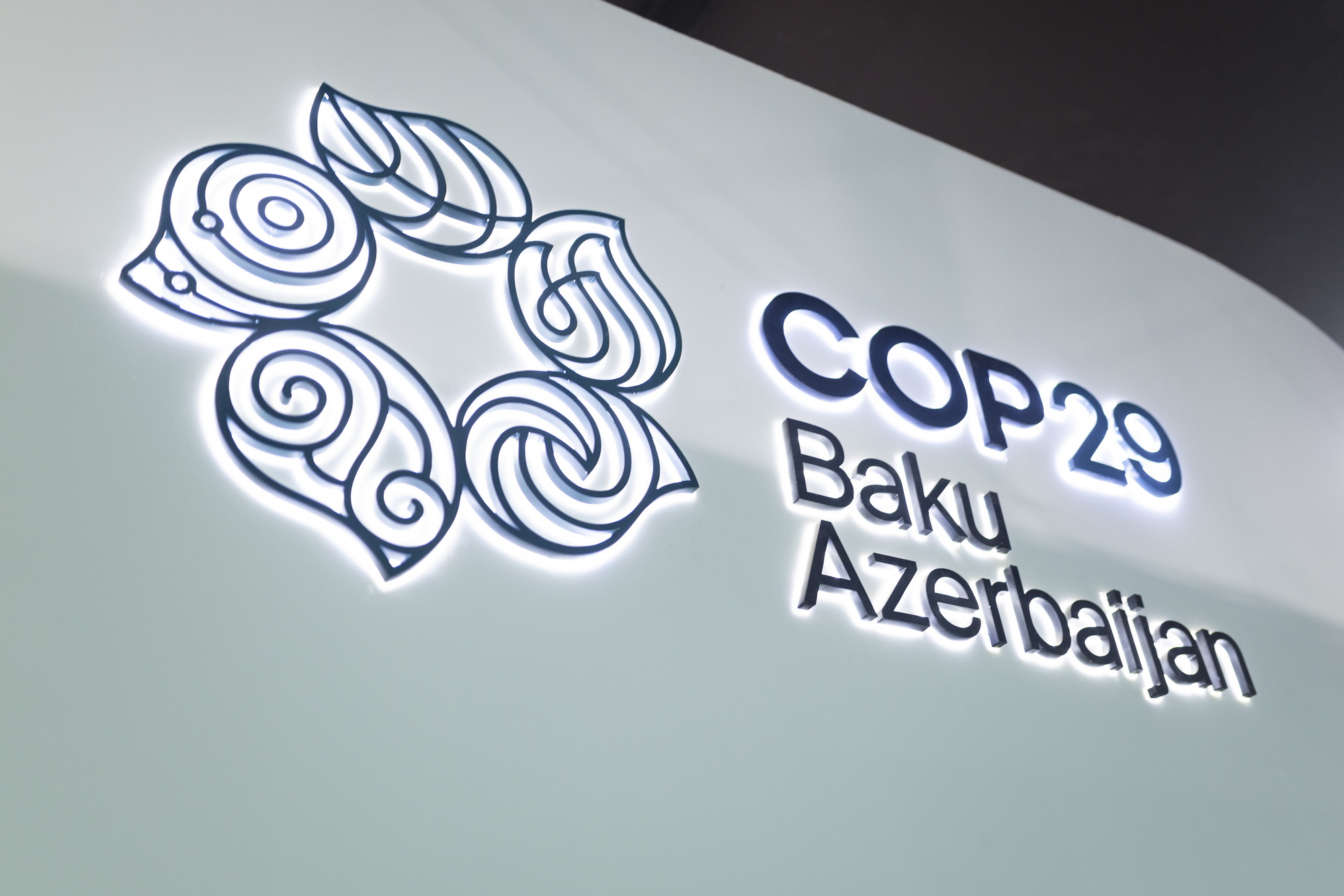 COP29 logo and text "COP29 Baku Axerbaijan"